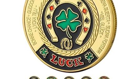 LuluCircle Poker Guard, Weights for Poker, Poker Gifts for Men, Poker Card Protector, Poker Accessories, Poker Chips with Plastic Case (Double Luck)